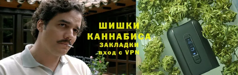 Конопля Ganja  Курчалой 